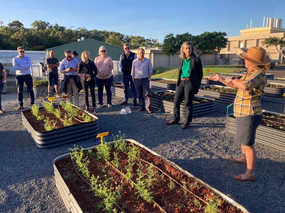 CQUniAg's tweet photo. Thanks for visiting @GRDCNorth - our tropical cropping researchers really enjoyed the sharing some insights from our @CRC_NA  projects into new high value spice crops and value-adding to the industry through dual purpose peanuts. #AgriVentis #BegaPeanuts https://t.co/GsHbEhrCtF