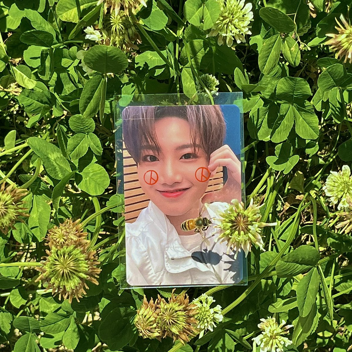 투표했다요🐝☘️