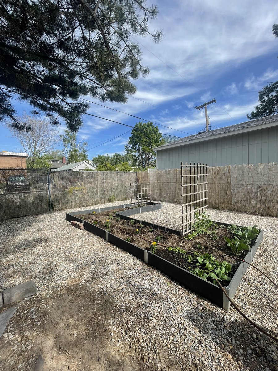 AmyAmiah's tweet photo. @WesElyMD #gardening https://t.co/QQFWtJ3ILR