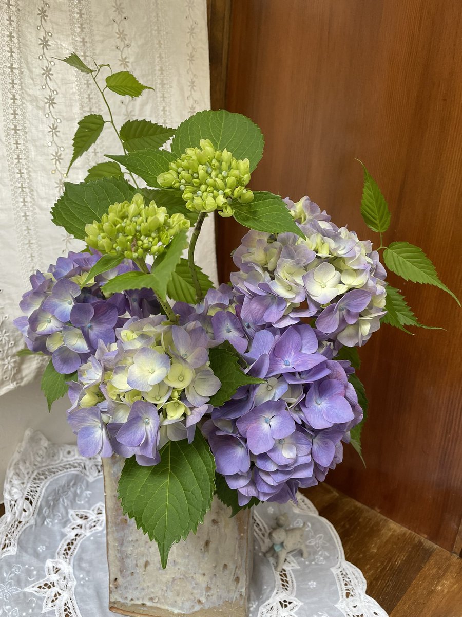 ichiriko's tweet photo. 紫陽花巡りもいい運動になりましたね。わが家の紫陽花を生けたのも眺めてください😅 https://t.co/xaMqOl18La