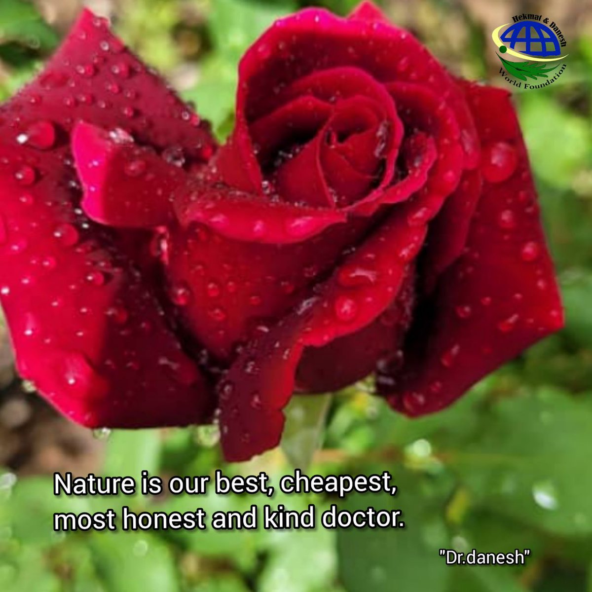 drmahdidanesh's tweet photo. Nature is our best, cheapest, most honest and kind doctor.
Dr.danesh
#FrenchOpen #cryptocurrency #PrideMonth #inflation #Nadal #nature #medicine #ROSE #luna2 https://t.co/71OYdUngI6