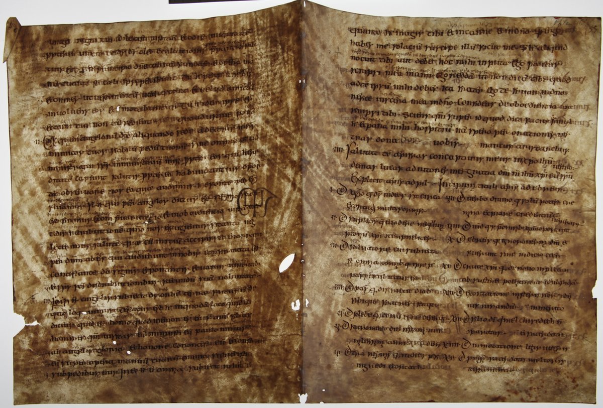 "I walked through an archive &amp; noticed that every single document was made of animal skin. I thought why are we not analysing those?”

Matthew Collins' 🇪🇺#EUfunded research team created a new way to learn about medieval farm animals: using manuscripts!

👉 bit.ly/ERC_B2C