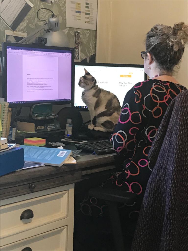 AlzScotCPP's tweet photo. Our @annawaugh1 is ably assisted at her desk. This week they've been working on embedding wonderful #research into #dementiaWorkforce #education. Check out those serious claws! ๐ฑ๐พ
https://t.co/4xZz62x41l
#QueenBetty #CatsOfTwitter #ResearchCat #DementiaAwareness #DementiaCare https://t.co/qa6rOcpQ0L