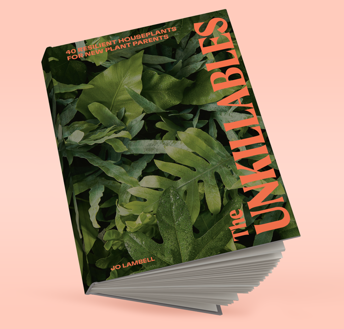 STEPHANIE ✹ BARNES tweet media