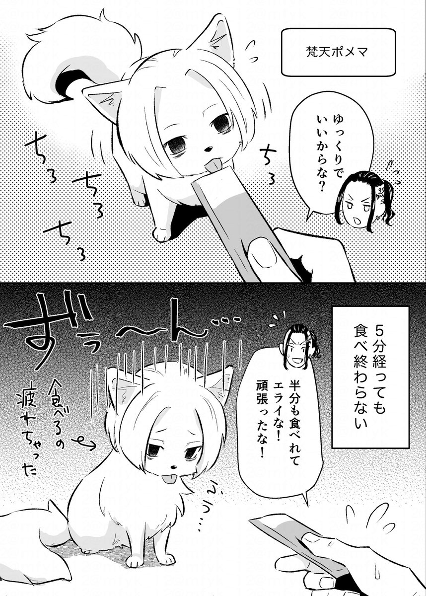 いろいろなポメマとわんち●〜る(ドラマイ) 