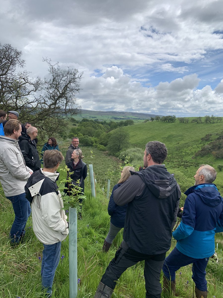 Alistair Maltby tweet media