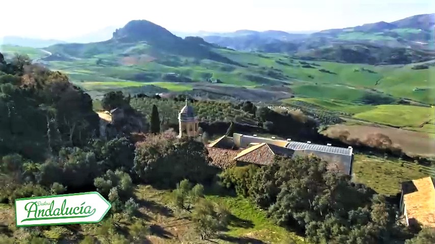 DESTINO ANDALUCIA tweet media