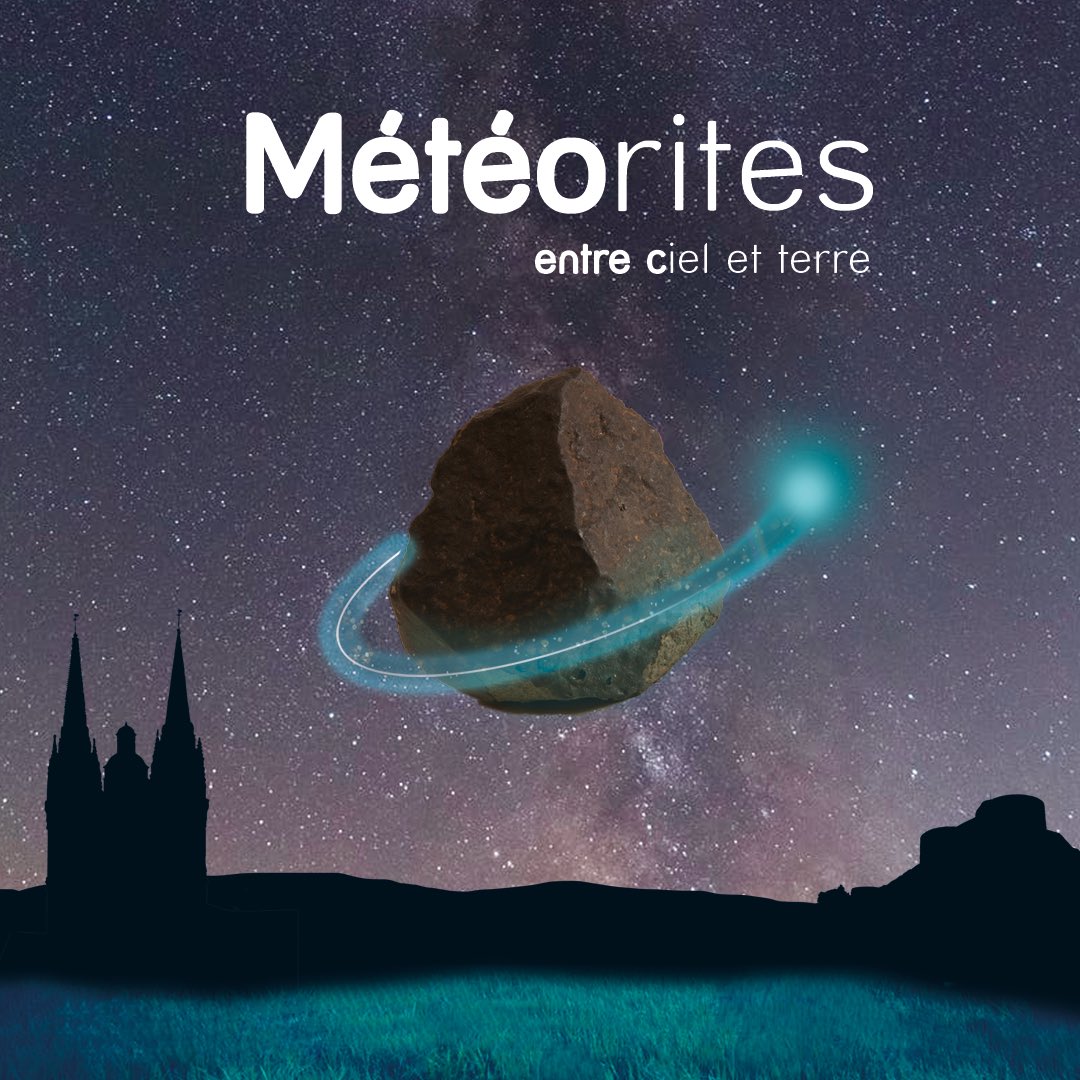 Muséum Angers tweet media