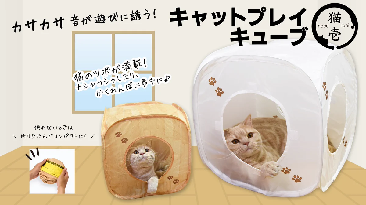 猫用品のゴロにゃん on X: 