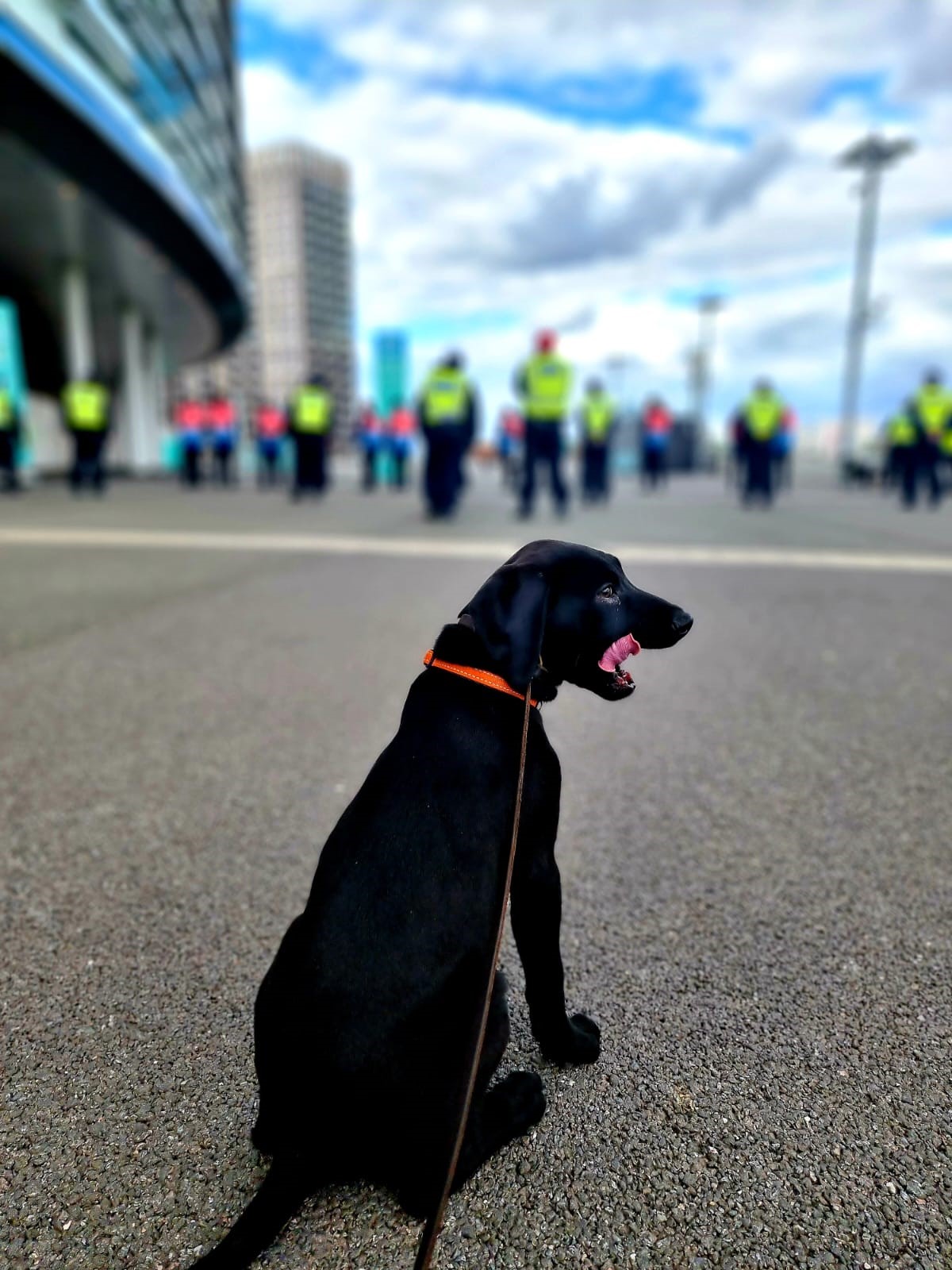 Wembley Stadium on Twitter: 