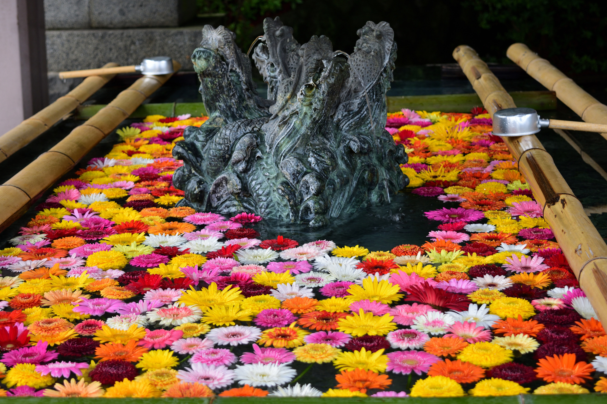 福岡県観光連盟 Fukuoka Pref Tourism Association 福岡 県の神社 寺院には映えスポットといわれる花手水がたくさんあります これがホントに綺麗で 手が濡れていることも忘れてカメラをつかんでしまいます 特に今の季節は色々なアジサイが飾られて