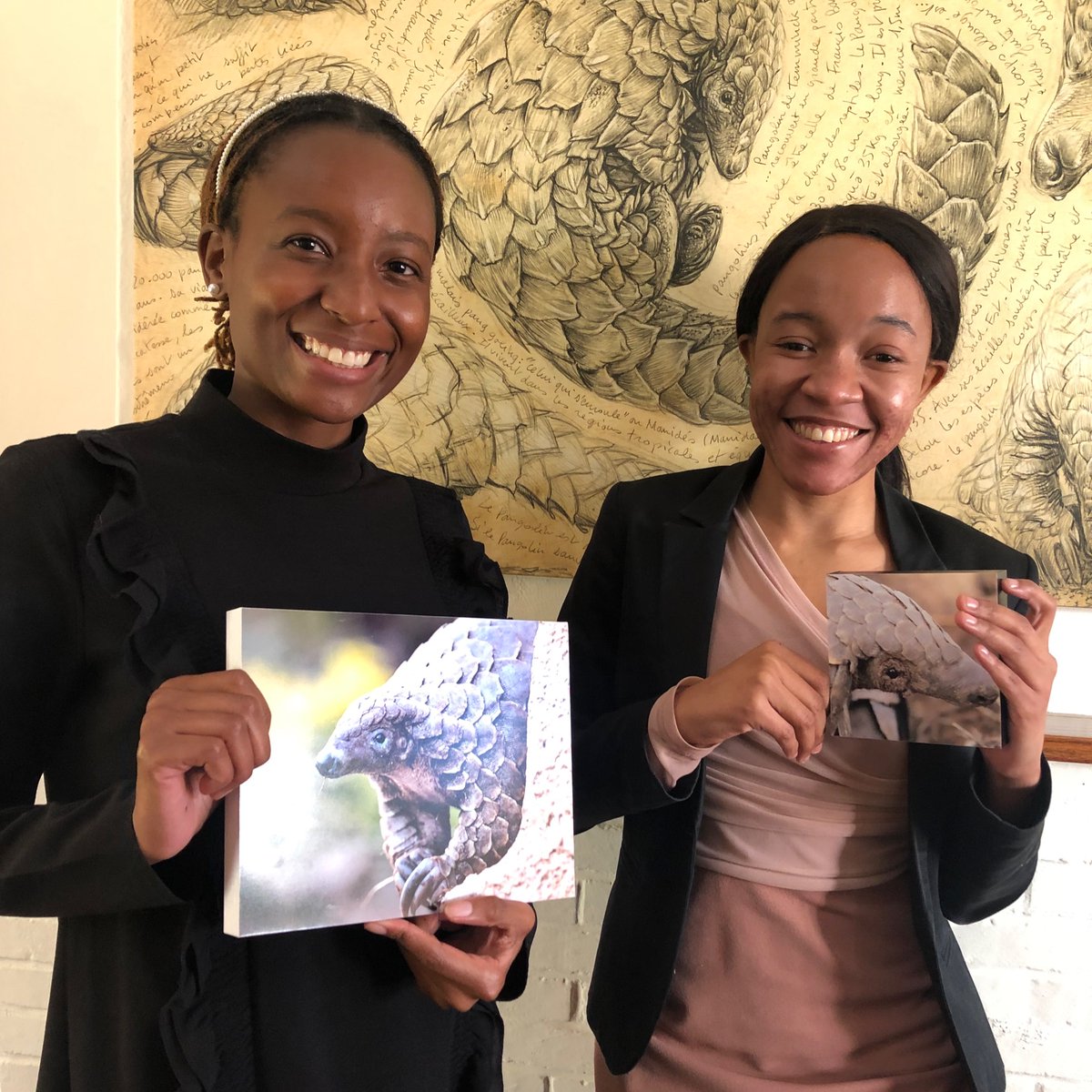 Tikki Hywood Foundation (@thfzim) on Twitter photo Two of our legal eagles received #MandelaWashington #YoungAfricanLeader fellowships and depart for the States this week.
Congratulations <a href="/MutezoSamantha/">Taku S. Gwitira</a> and Clandi Mupangani 👏 We wish you luck and safest travels. 🍀 Two of our legal eagles received #MandelaWashington #YoungAfricanLeader fellowships and depart for the States this week.
Congratulations <a href="/MutezoSamantha/">Taku S. Gwitira</a> and Clandi Mupangani 👏 We wish you luck and safest travels. 🍀