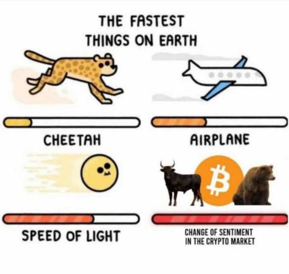 PEAKDEFI's tweet photo. ;) https://t.co/XHm59W1U09