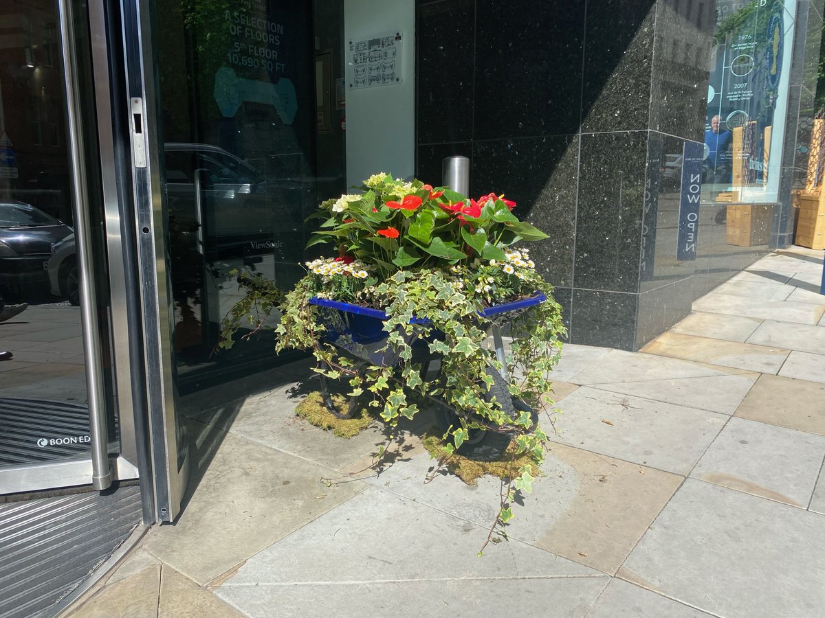 Barrows Full of Bloom 🌸🌼🌷 
We are so excited to be taking part in @MCRFlowerShow again this year with our wheelbarrow displays outside 55 King Street 👨‍🌾
Can you spot our signature blue within the display?
#MCRFlowerShow #PlatinumJubilee