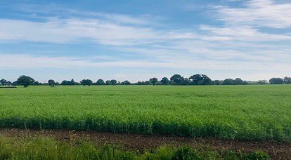 Krista Doebel-Hickok tweet media