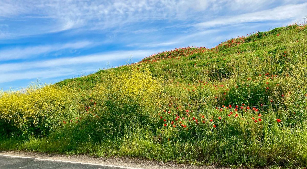 Krista Doebel-Hickok tweet media