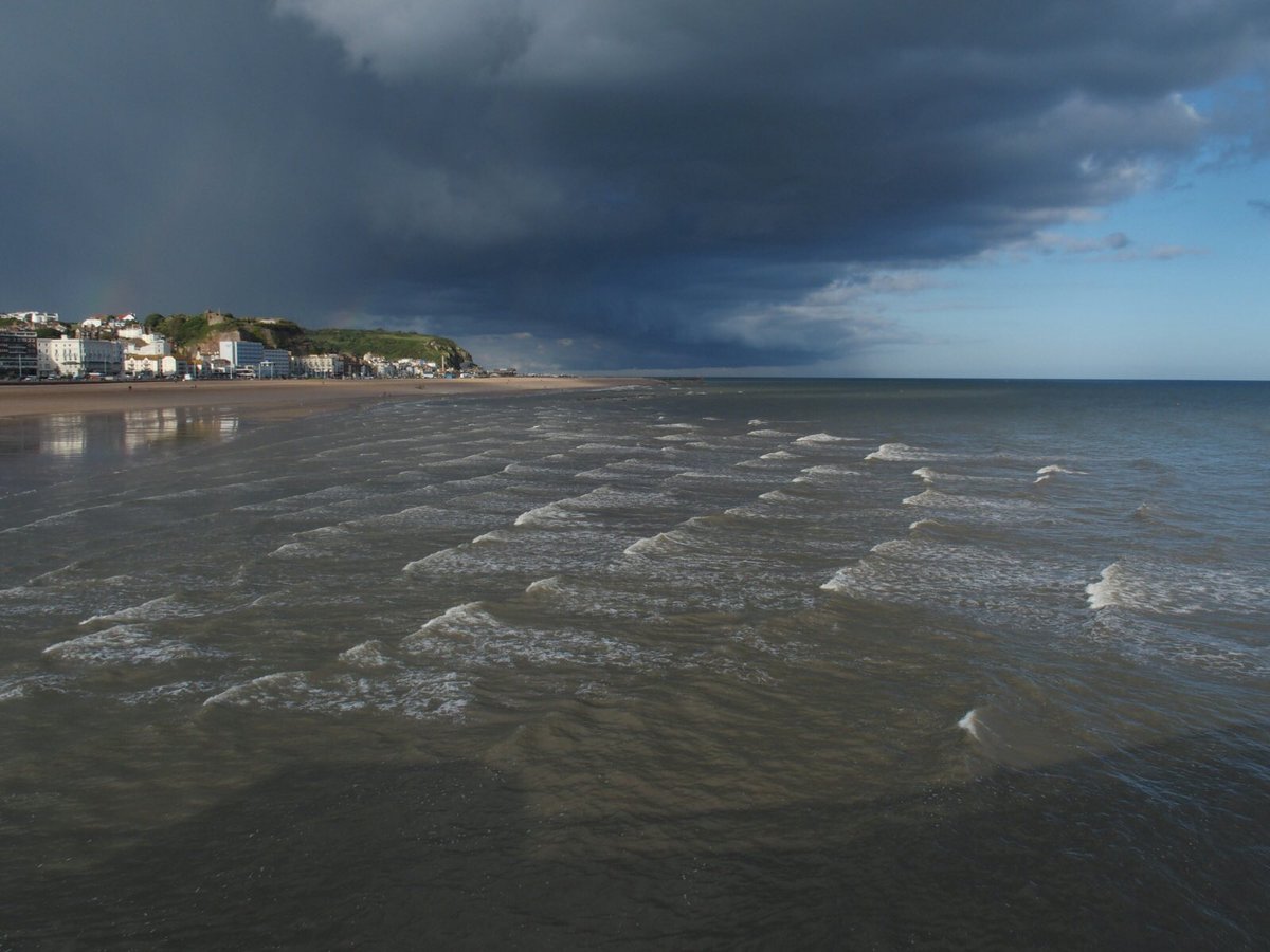 Charles Bowley tweet media