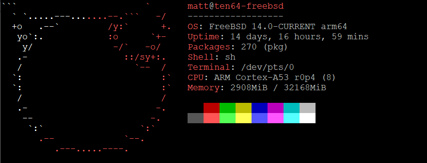 traversetechau's tweet photo. #FreeBSD preview for Ten64 now available! https://t.co/mAVTJDCufD https://t.co/3vQyzC6QzL