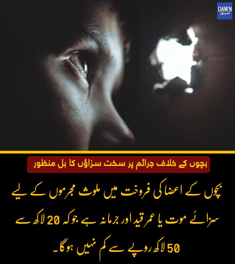 Dawn_News's tweet photo. ترمیم�� سیکشن میں کہا گیا ہے کہ جو بھی چائلڈ پورنوگرافی کا جرم کرے گا اسے سخت قید کی سزا دی جائے گی، جو 14 سال سے کم نہیں ہوگی اور اسے 20 سال تک بڑھایا جا سکتا ہے اور اس پر جرمانہ بھی ہو گا جو کہ 20 لاکھ سے کم نہیں ہو سکتا اور 70 لاکھ روپے تک بڑھ سکتا ہے۔
https://t.co/u2KD6aS0QK https://t.co/VIh1CPuTAU