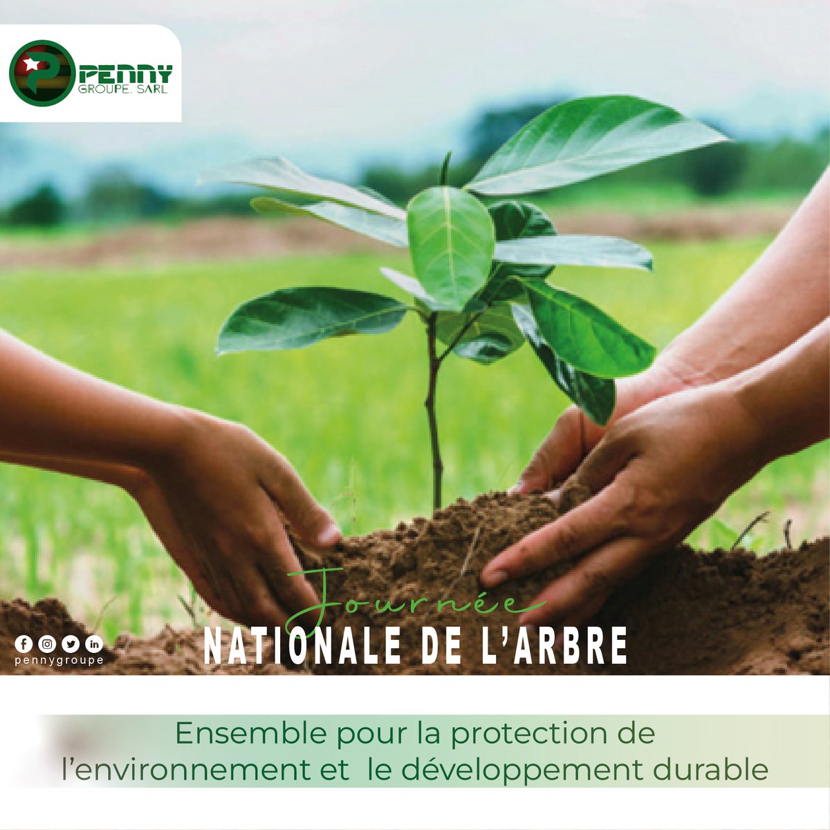 pennygroupe's tweet image. Ensemble pour la protection de l&apos;environnement et le développement durable. 
#pennygroupe 
#LeNumeriquePourTous 
#construiredifferemment