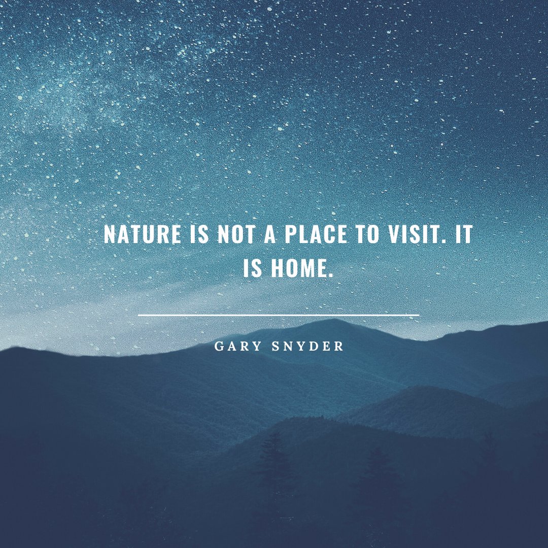 Greenerjee_in's tweet photo. #quote #quoteoftheday https://t.co/nT3tfMWNMq