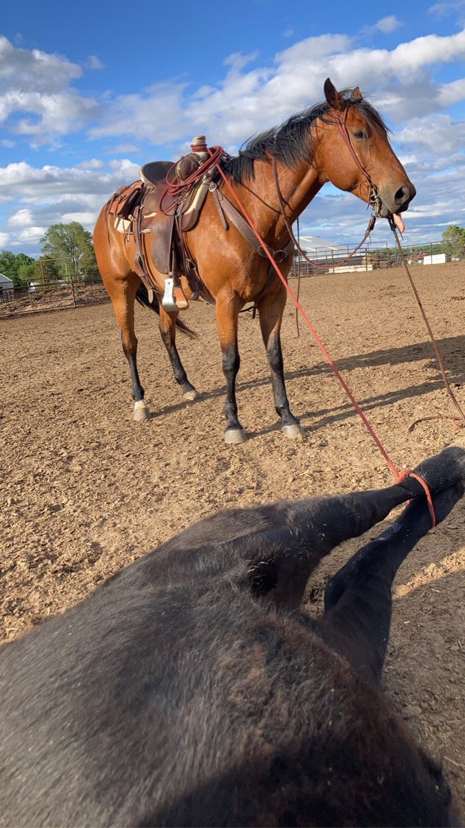 "that was easy, what's next?" -Elvis