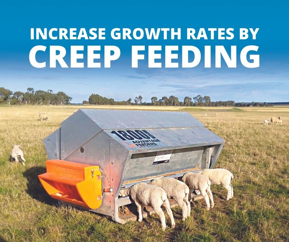 5 BENEFITS OF CREEP FEEDING:
👊 Increase growth rates
👊 Sell stock earlier at higher market prices
👊 Reduce the strain on ewes and cows to produce 
👊 Convert more pasture before it deteriorates  
👊 Join young stock earlier