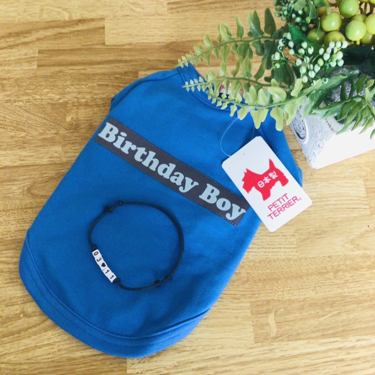 withWaN1's tweet photo. お誕生日Tシャツ🐶Birthday Boy🐶
大切なペットのお誕生日のハンドメイドチョーカー付き!
ミンネ
https://t.co/azKFx4Rut8
#ハンドメイド
#お誕生日
#犬
#withwan https://t.co/ZguFpY75U9