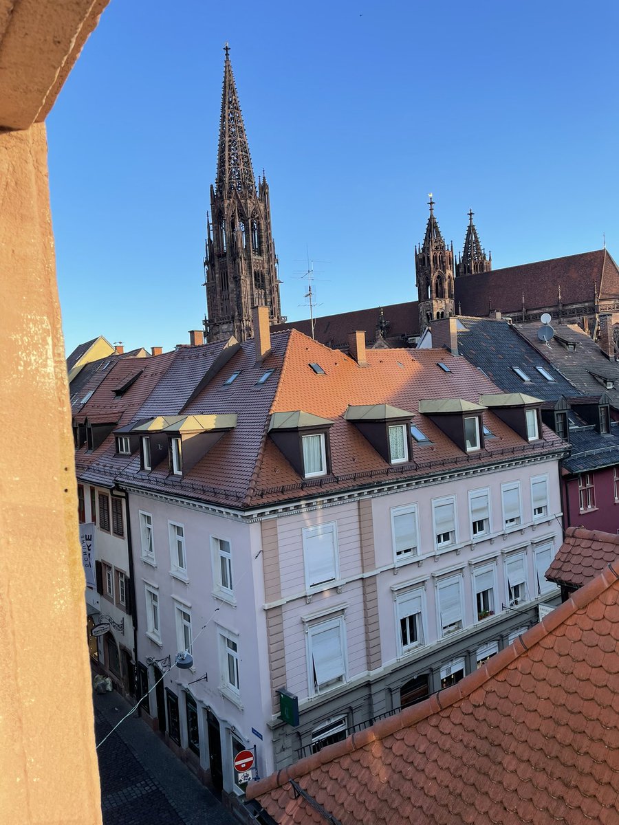 View from hotel window in Freiburg. Heading home today from the TRR179 meeting. Robert Thimme was a wonderful host and I learned a ton. Grateful for the opportunity.