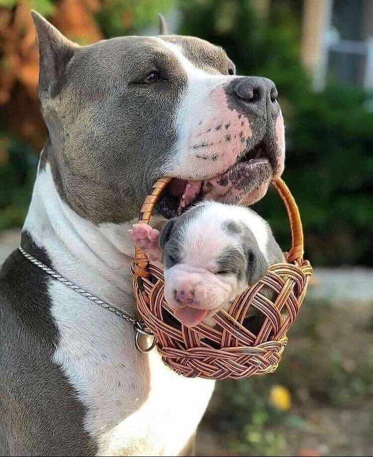 gdmorewood's tweet photo. Good Morning ❤️😎 #StaySafe #WednesdayMotivation #Motivation https://t.co/S2dFDjQqcJ