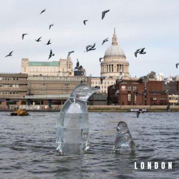 Two penguins made of ice in water. In the background are buildings and seagulls flying in the air