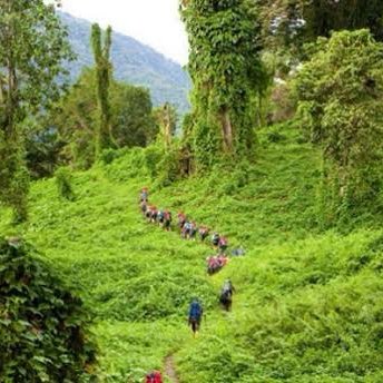 MatMcLachlan's tweet image. New BattleWalk episode! I’m joined by guest host David Howell as we complete our epic trek across the #Kokoda Track. Listen on your favourite podcast app or watch the video here: youtu.be/M-xjp4AmBlI #ww2