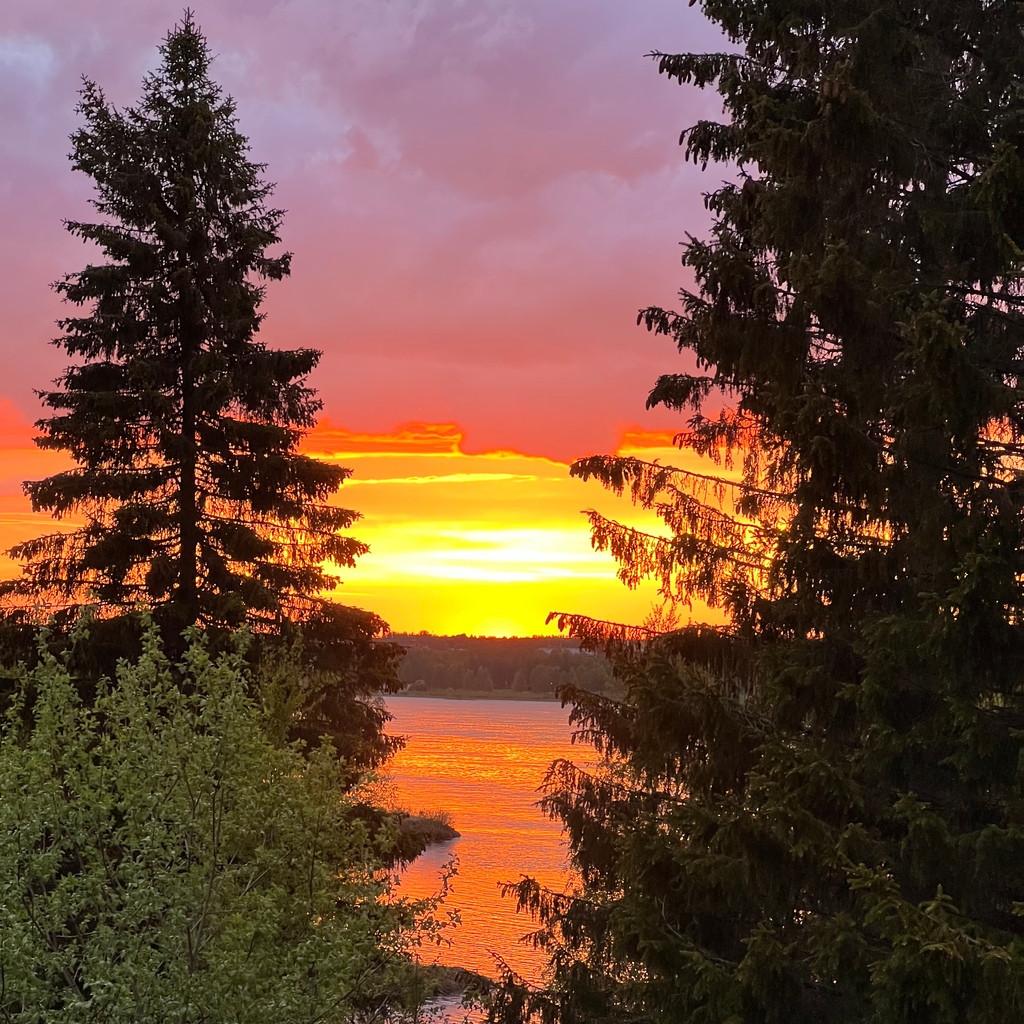 filipsborg's tweet photo. Our nights are getting shorter and lighter, the white nights near the Arctic circle. No one wants to go to sleep.
.
#sweden #swedishlapland #heartoflapland #kalix #filipsborg #lapland #sunset #summertime #spring #sunrise #paradise #beautifuldestinations #summer #sunshine https://t.co/jYtgaFdYhb