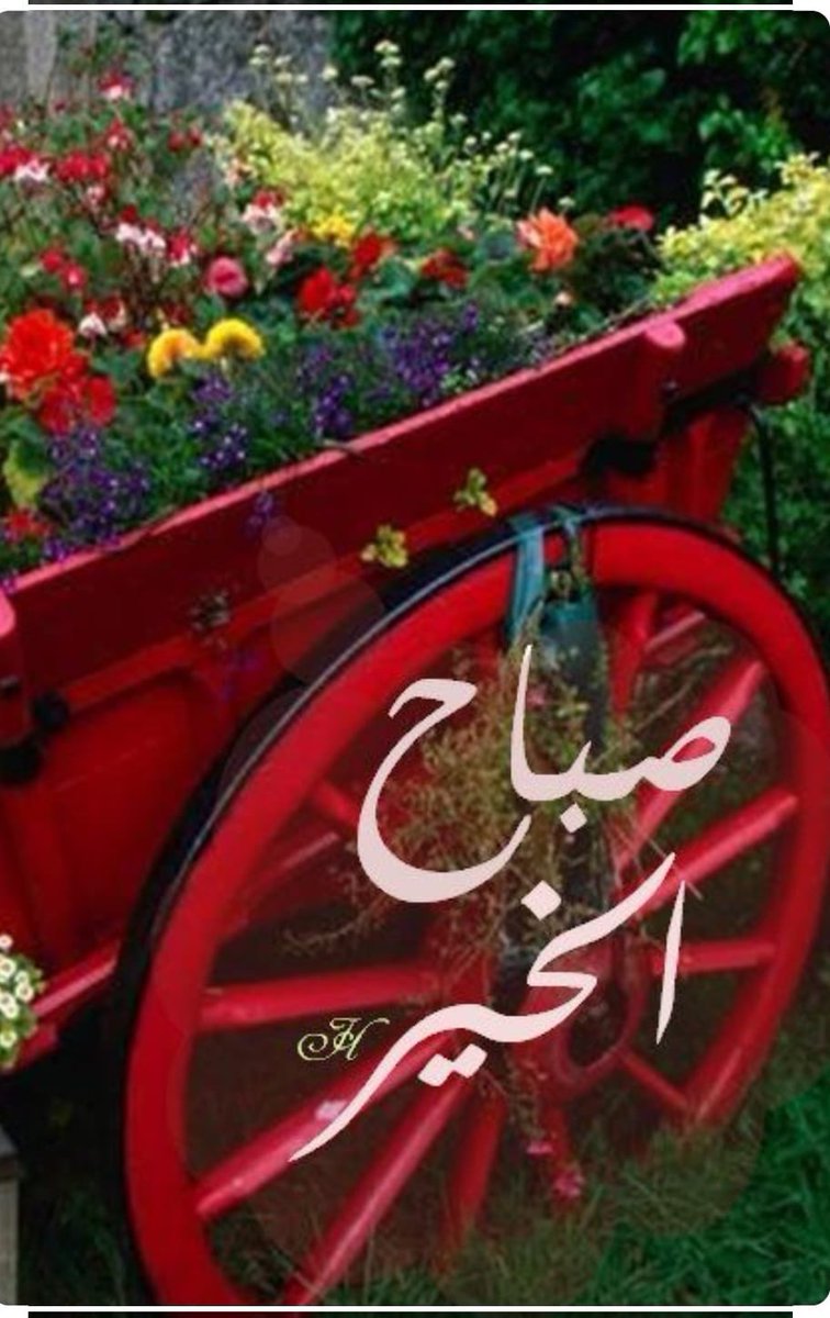 السباك 01151308647 tweet media