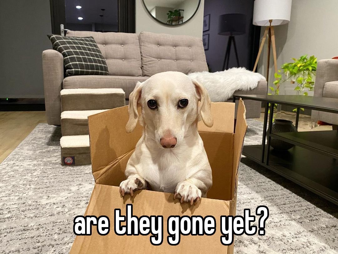 SEBUTHEWORLD's tweet image. u 4 the rest of the month: