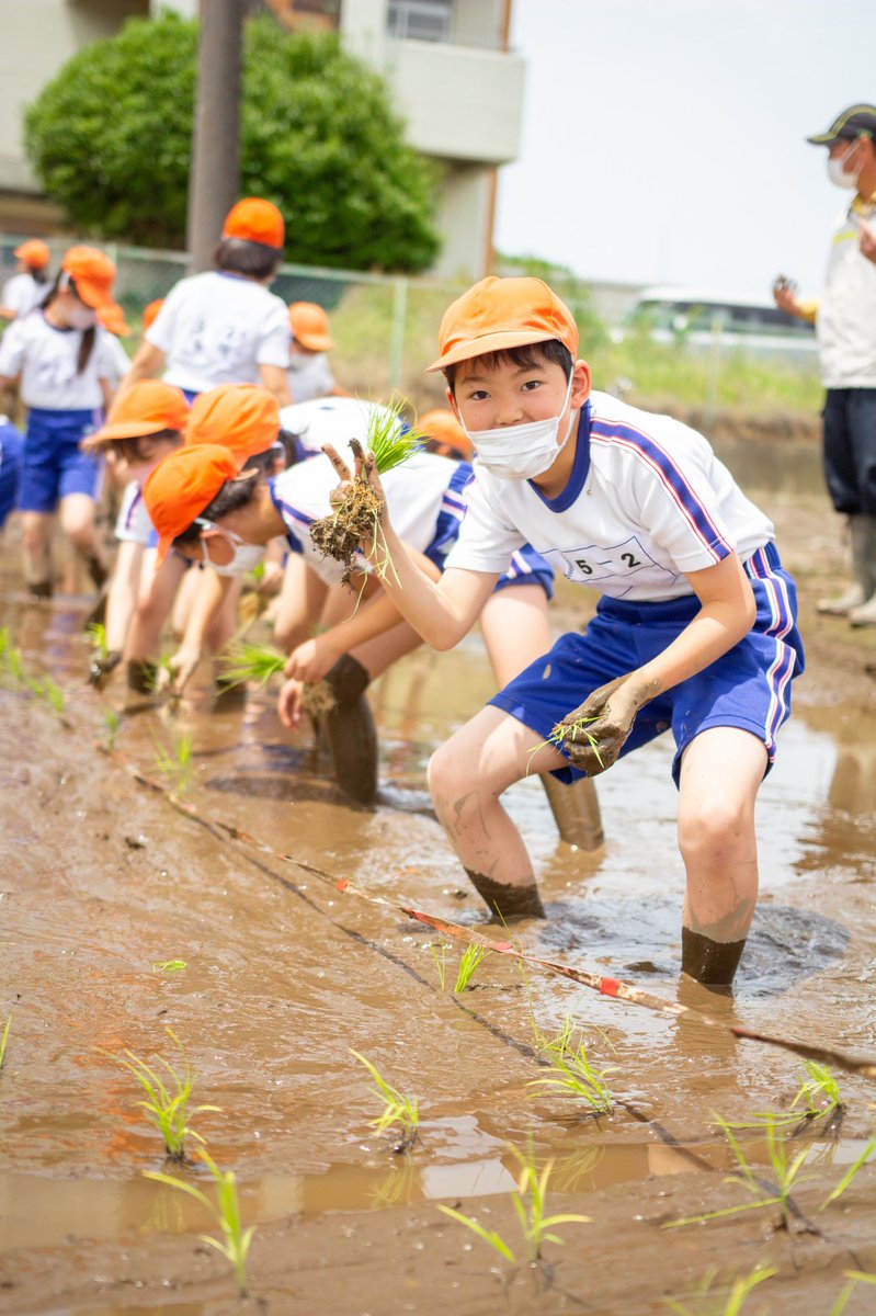今週は市内小学校で田植え体験がありました🌾

地域の人たちに教えてもらいながら、泥の中に恐る恐る足を踏み入れていた子どもたちも、最後は手際よく植えていました！
秋には自分たちが植えた田んぼで稲刈りもする予定。
立派に美味しく育ちますように。