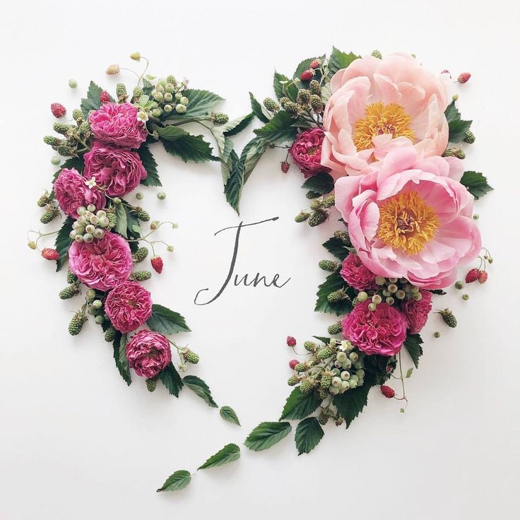 Training People tweet media