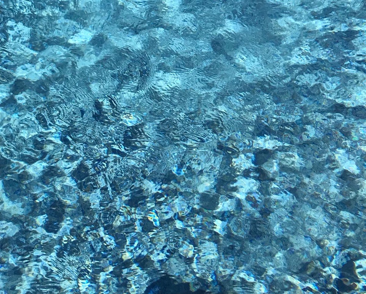 ALightTouchLtd's tweet photo. It isn’t all about orchids (although I’m hunting out some local ones after work tonight!). Yesterday I popped by a long standing client to discuss a design detail. I couldn’t resist taking a photo of this water. How delicious! #masterplan shown for interest. #gardendesignsussex https://t.co/e2ypypH3At