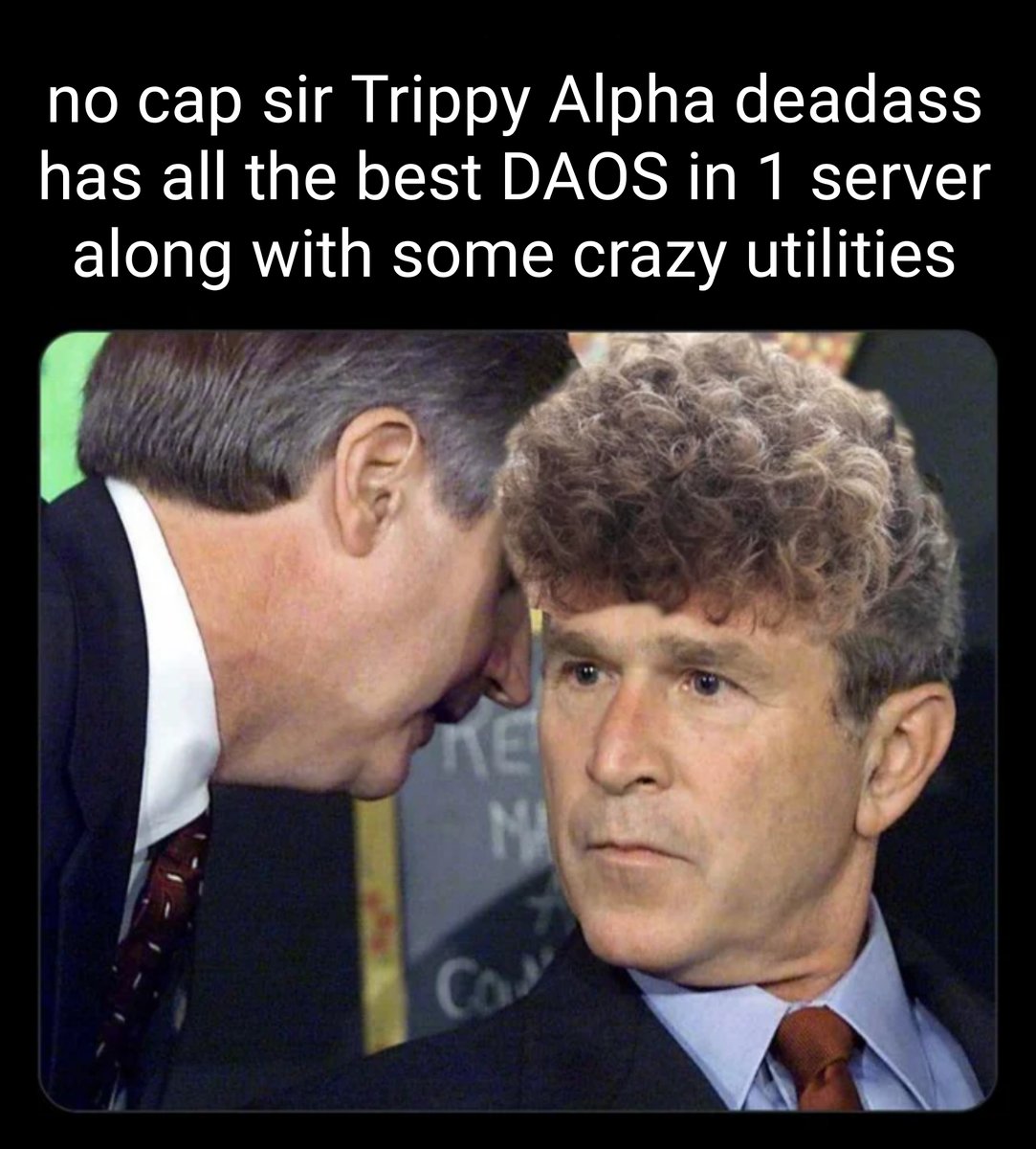 Trippy Alpha tweet media