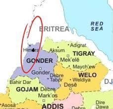 DerejeGerefa's tweet photo. ሰበር!!
የተዳከመውን የህወሓት ሀይል ለመታደግ በሱዳን እና ግብፅ የሚደገፍ ሰምሪ የተባለ የታጣቂዎች ቡድን በኢትዮጵያ፣ ሱዳንና ኤርትራ አዋሳኝ ቦታ ላይ ጥቃት ሰንዝሮ ጥሶ ለመግባት ሙከራ ቢያደርግም በድንበር ጠባቂ ጥምር ሀይሎች ሊደመሰስ ችሏል። https://t.co/etZv6B5VHF