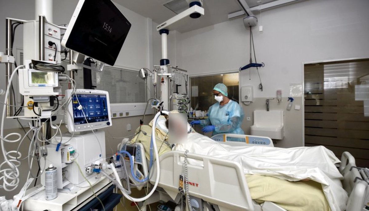 Toulouse : elle croise un "gentil" migrant malien dans la rue, décide de le ramener chez elle, il la poignarde à de multiples reprises et lui tranche la gorge - fdesouche.com/2022/06/01/tou…