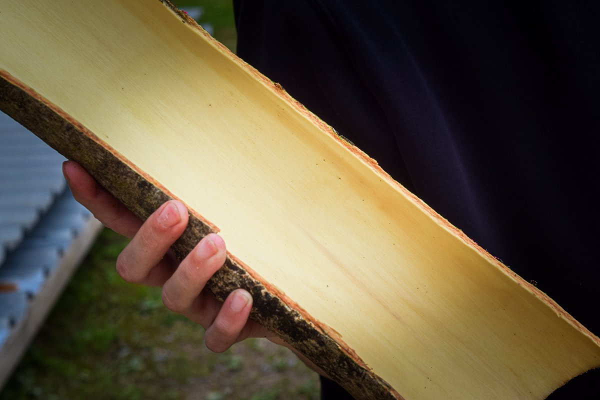 HookePark's tweet photo. Students spent last Friday extracting and debarking a number of felled ash and beech tree forks.

The forks were then relocated to the big shed to be 3D scanned, notated, and prepped for assembly.

#forestry #treeforks #tacitknowledge #AAschool #timberconstruction #naturalforms https://t.co/tgBEIYntDf