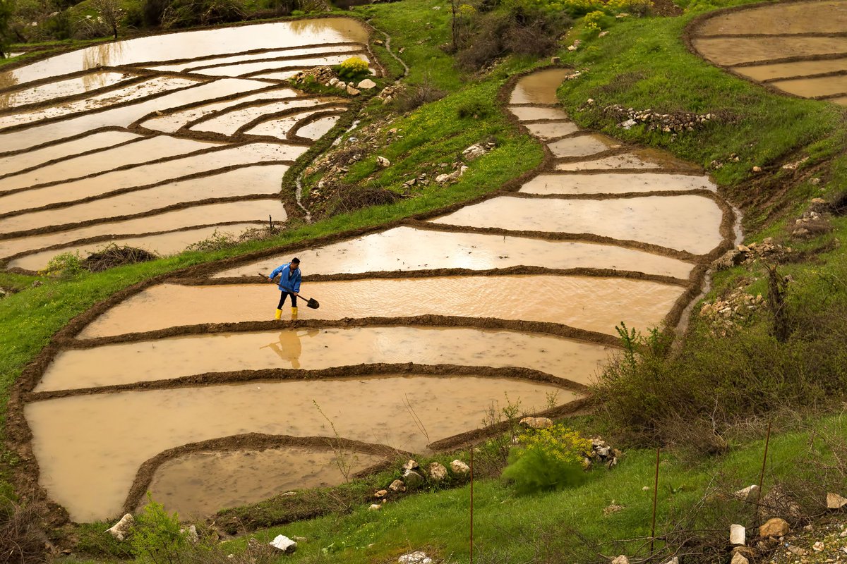 Gm #NFTs #nftcollector #nftphotography