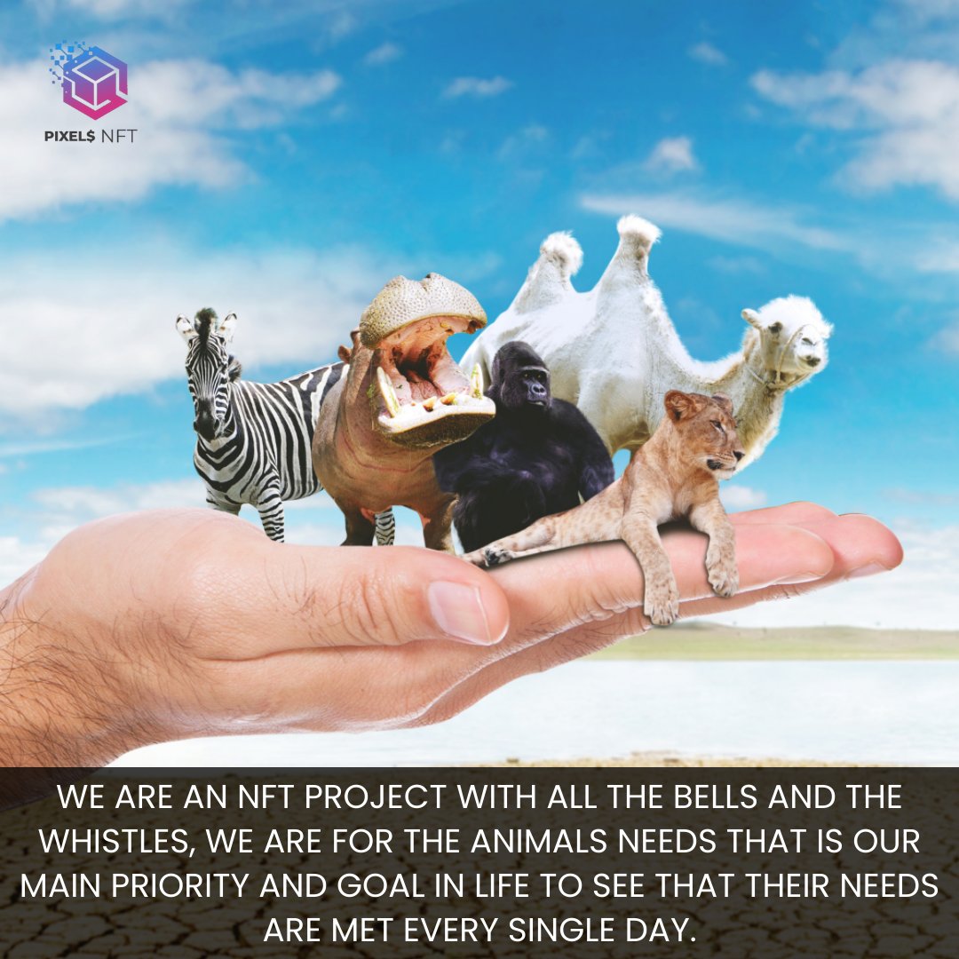 PixelsNFTarts's tweet photo. #Saveanimals #Endangeredanimals #Saveendangeredanimals #IRF #NFTCommunity #nftart #NFTGiveaway #NFTProject #NFTartists #NFTdrop #NFTs @saveanimalsind1  @wildearthguard  @RhinosIRF @World_Wildlife https://t.co/rXgjmCfIZT
