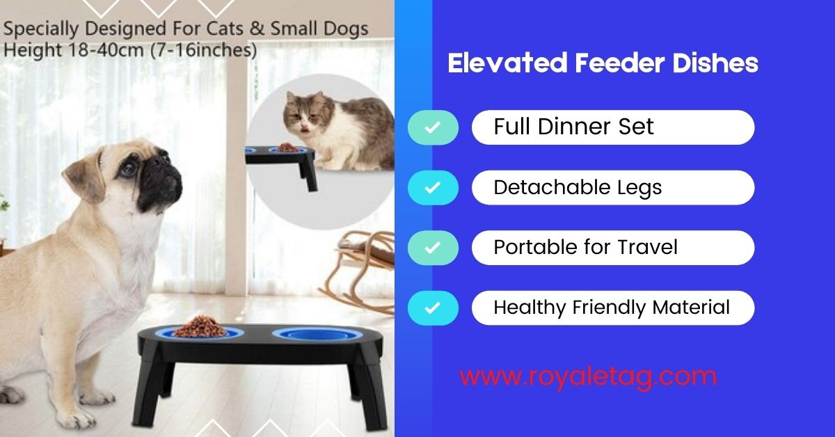 royaletag's tweet photo. Our foldable detachable leg raised pet bowl with stand is  best for easy storage, making you feel free to feed your pets anytime and anywhere. Shop https://t.co/QdHXFA1iCW &amp; get free shipping. https://t.co/n5z58Fe6S6