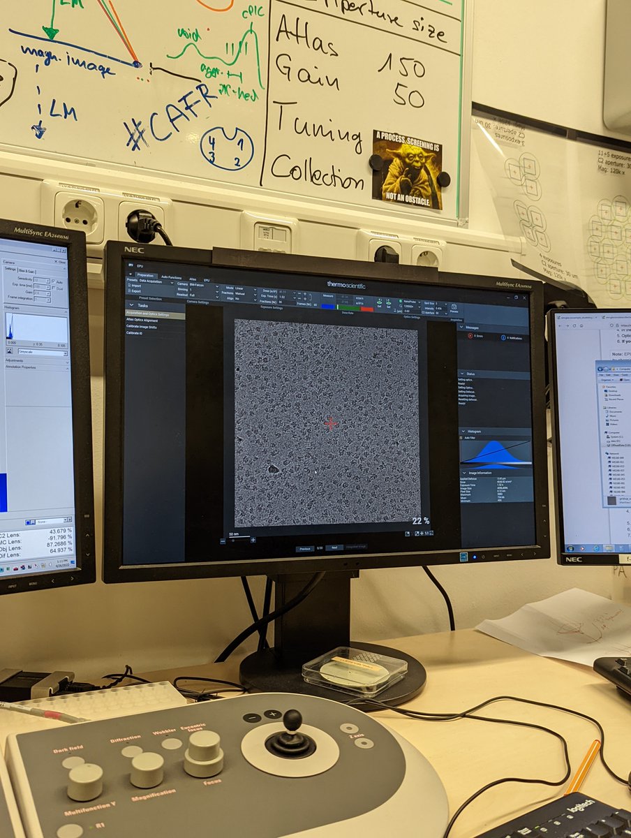 ✅ Second Lab Rotation

Presented today the work I did for my 2nd lab rotation at the @CramerLab at <a href="/mpi_nat/">MPI for Multidisciplinary Sciences</a>. I was able to apply cryo-EM and XL-MS to gain insight into the structure of my protein complex 🙌.

Many thanks to <a href="/isaac_fianu/">Isaac Fianu</a> for the superb supervision &amp; mentorship!