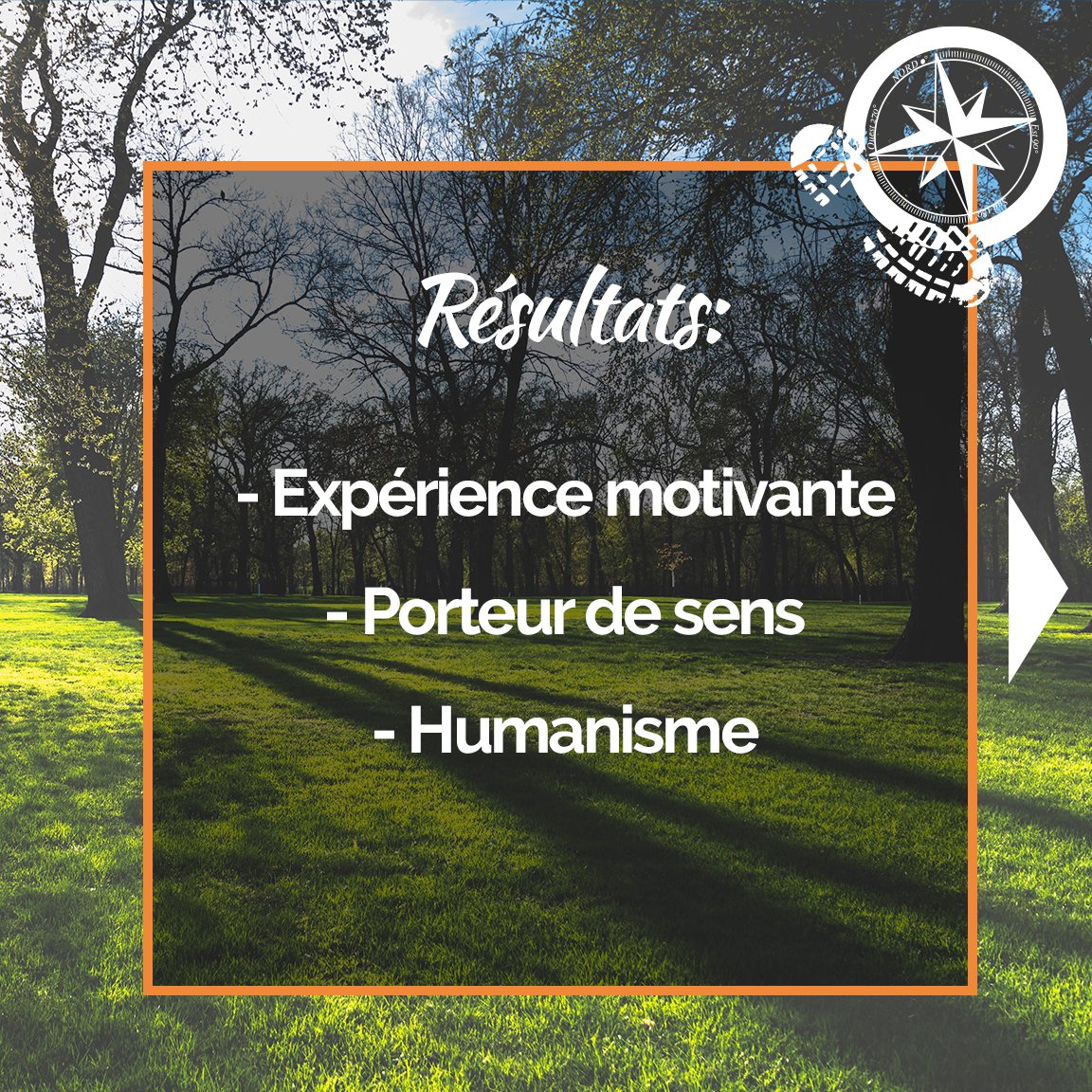 Stéphane Lévin - Conférencier & Team Building 🌍 tweet media