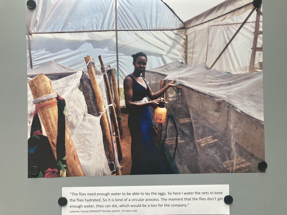 Discover how Rwandan #circularbioeconomy workers see their work and its impact on their lives, a #photovoice by @MelanieSurchat in the context of #runres project by @ETH_SAE_group supported by @SwissDevCoop youraudiotour.com/tours/3063/ runres.ethz.ch