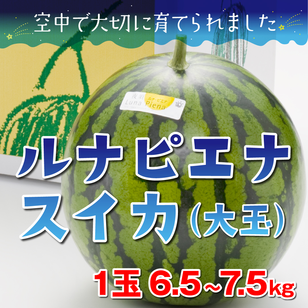 とさごろ 再 再 再入荷 旅サラダ で紹介されてからたくさんの反響をいただいております 注目商品 ルナピエナ スイカ 入荷しました 塩をかけなくても十分甘いスイカです ぜひお試しください T Co Abdu7onywz とさごろ