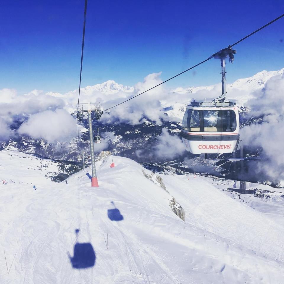 Trudi Davidson tweet media